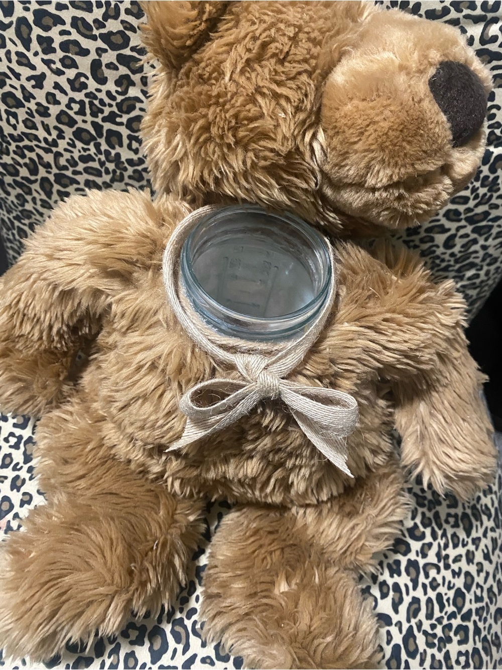 Teddy Stash Soft brown plush teddy bear with glass jar in belly